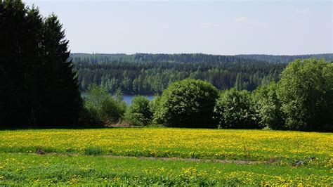 Tausta Maisema: Epätasapainoinen Harmonia ja Kuolematon Yön Kaiku!